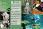Around Rio Brazil